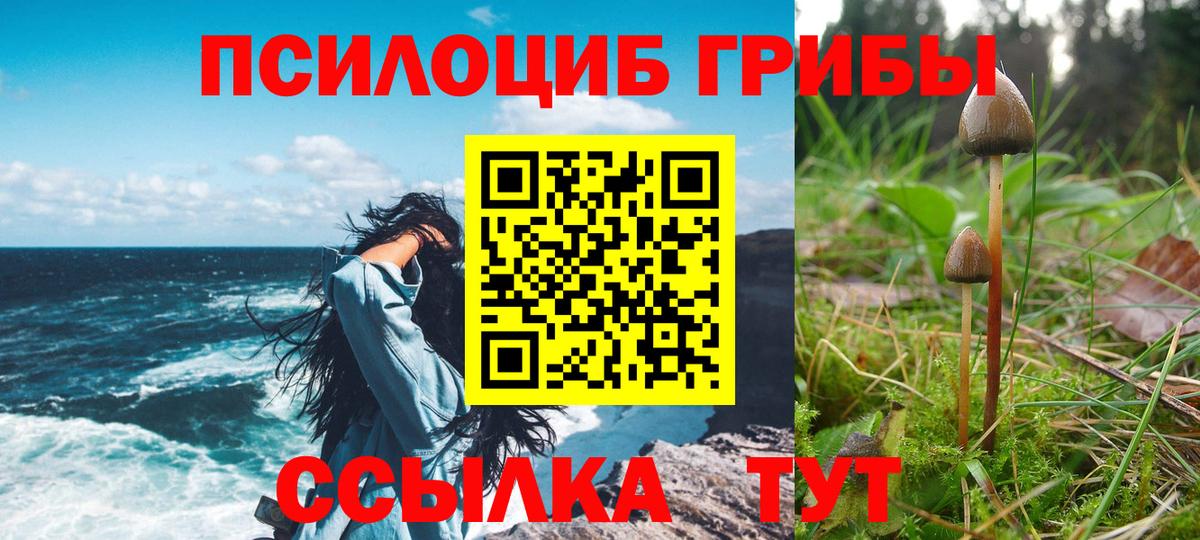Галлюциногенные грибы Psilocybine cubensis  Вход с VPN  Псилоцибиновые грибы GOLDEN TEACHER  Заводоуковск 